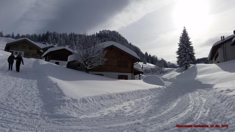 Alpenchalet Garfrescha Villa Sankt Gallenkirch Exterior foto